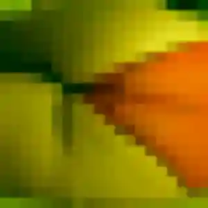 Photo perso de Bianca, 44 ans à Aix-en-Provence - rencontre sans lendemain