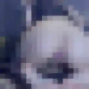 Rejoins Flavia, 22 ans à Annœullin en privé