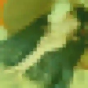 Alicia, 39 ans, connectée à Baisieux pour une rencontre coquine
