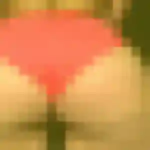 Lisa, 40 ans, en ligne à Basse-Terre pour une rencontre coquine