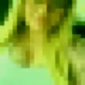 Florence, 41 ans, connectée à Bernay pour une rencontre coquine