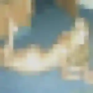 Agnes, 27 ans, cherche un rencontre libertine à Bléré