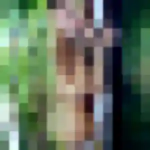 Valerie (38 ans) à Boulogne-sur-Mer cherche un rencontre libertine aujourd'hui