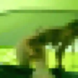 Photo perso de Uranie, 19 ans à Bourgoin-Jallieu - rencontre coquine