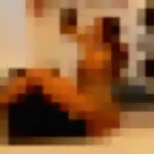 Photo privée de Regine, 22 ans à Canohès - rencontre coquine
