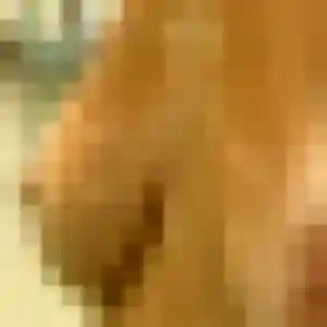 Profil de Geneve à Chilly-Mazarin (21 ans) - rencontre libertine gratuit