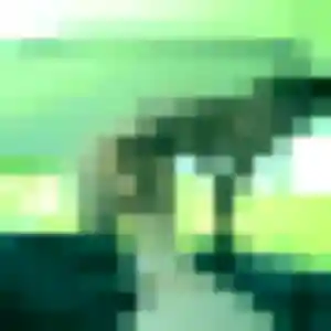 Francine (43 ans) à Condé-en-Normandie cherche une rencontre aujourd'hui