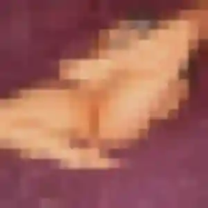 Sexy Rachel, 41 ans à Fontenay-le-Fleury - découvrir son profil