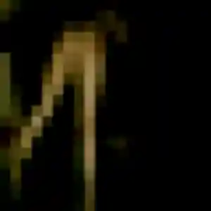 Profil de Celine à La Ville-aux-Dames (31 ans) - rencontre libertine gratuit