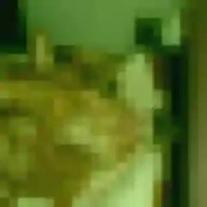 Sexy Patricia, 22 ans à Langon - voir sa photo