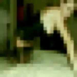 Photo de Zoe à Montargis (25 ans) - rencontre libertine anonyme