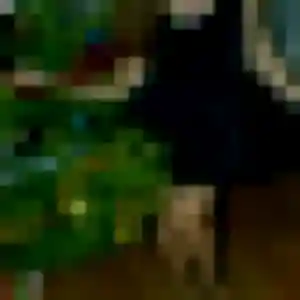 Découvre Perrine, 44 ans à Niort en privé