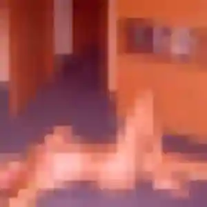 Jolie Irene, 36 ans à Pamiers - la contacter