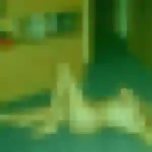 Wahiba (27 ans) à Pauillac cherche un rencontre libertine rapidement