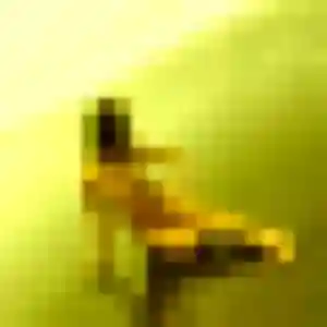Profil de Irene à Roncq (38 ans) - rencontre libertine anonyme