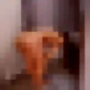 Valentina (33 ans) à Saint-Cyr-sur-Mer propose un rencontre libertine rapidement
