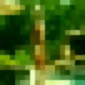 Découvre Sylviane, 37 ans à Saint-Georges-d'Orques gratuitement