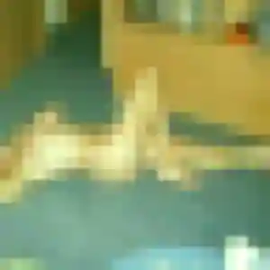Romina, femme de 42 ans propose rencontre libertine à Saint-Yrieix-la-Perche
