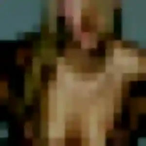 Profil de Anne-Marie à Saverne (37 ans) - rencontre libertine gratuit