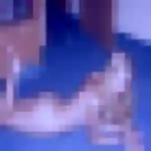 Paloma (34 ans) à Talant attend un rencontre libertine ce soir