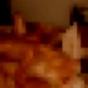 Anne-Laure, 23 ans, connectée à Tournan-en-Brie pour une rencontre coquine